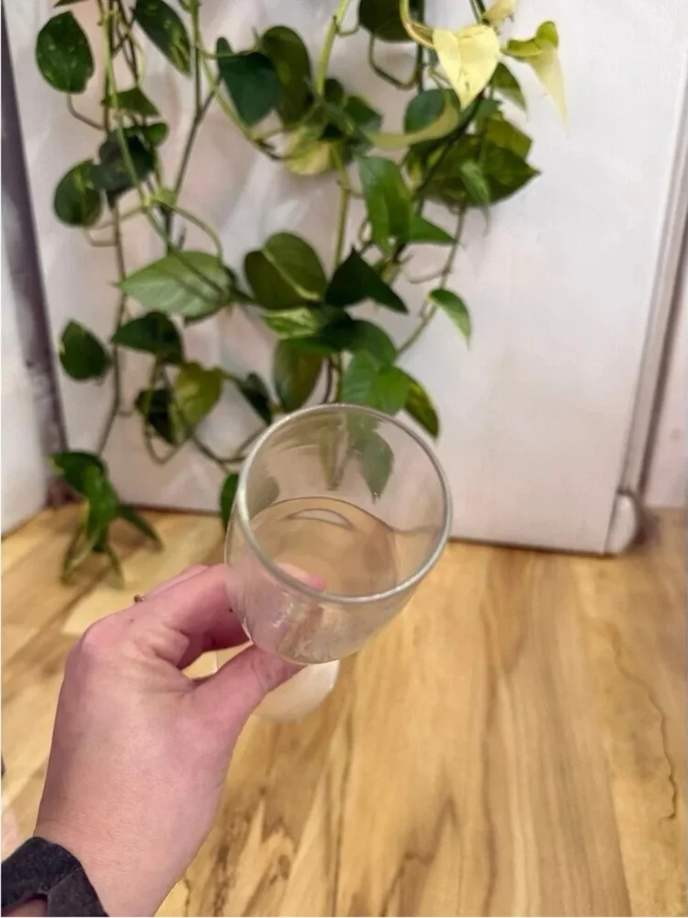 Clear Crystal Champagne Flute - Elegant Glass Stemware
